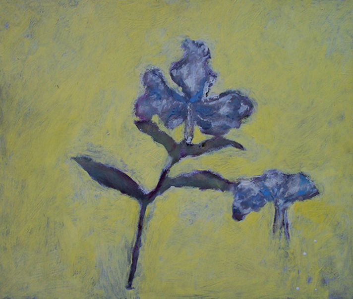 11.	Tiger Lilies  “20 x 24”  2000